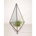 Hộp trồng cây thủy tinh vuông phong cách Terrarium